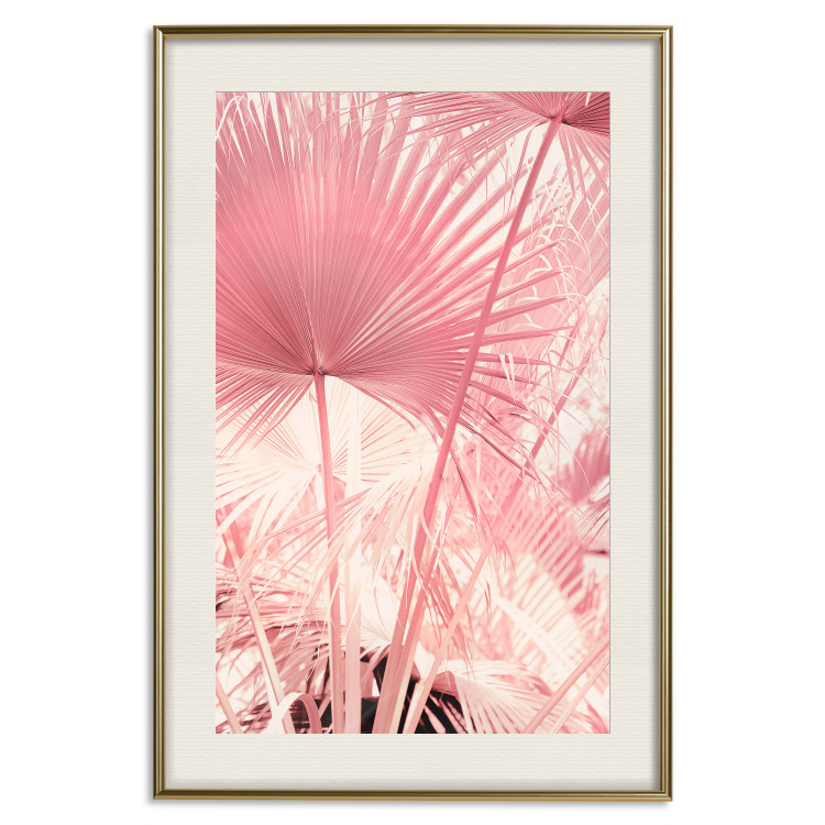 Wall Poster Pink Palm Trees - Leaves in Pastel Colors on a Sunny Day 144126 additionalImage 26