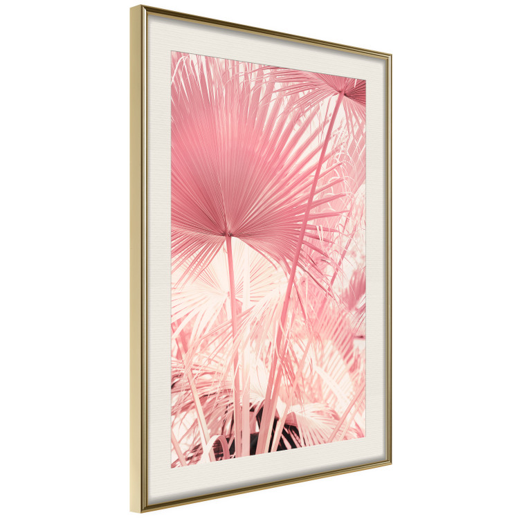 Wall Poster Pink Palm Trees - Leaves in Pastel Colors on a Sunny Day 144126 additionalImage 10