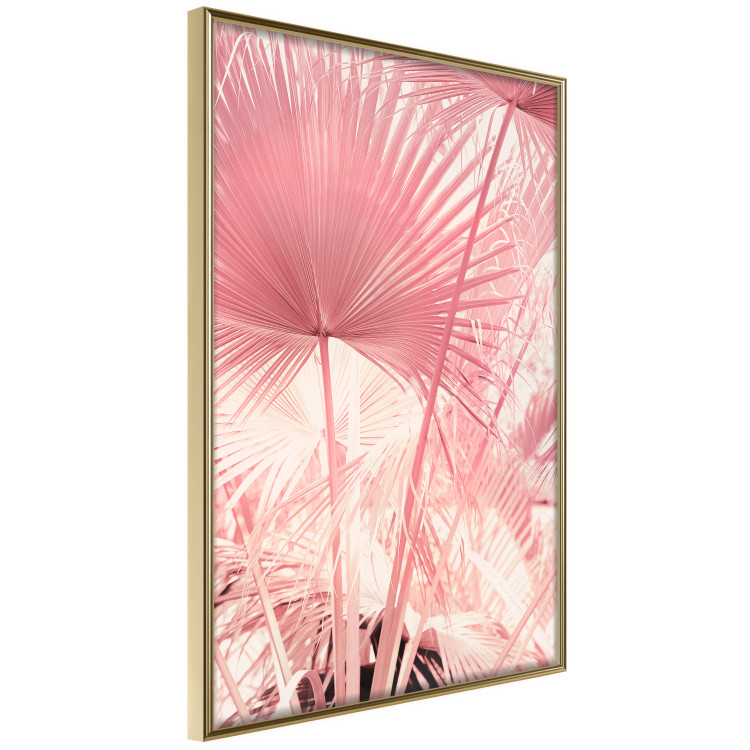 Wall Poster Pink Palm Trees - Leaves in Pastel Colors on a Sunny Day 144126 additionalImage 4