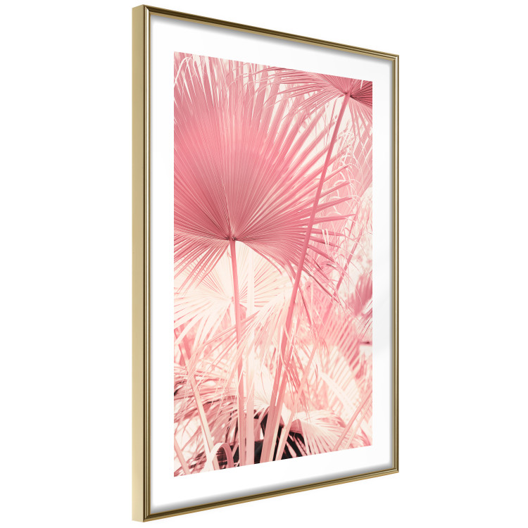 Wall Poster Pink Palm Trees - Leaves in Pastel Colors on a Sunny Day 144126 additionalImage 9