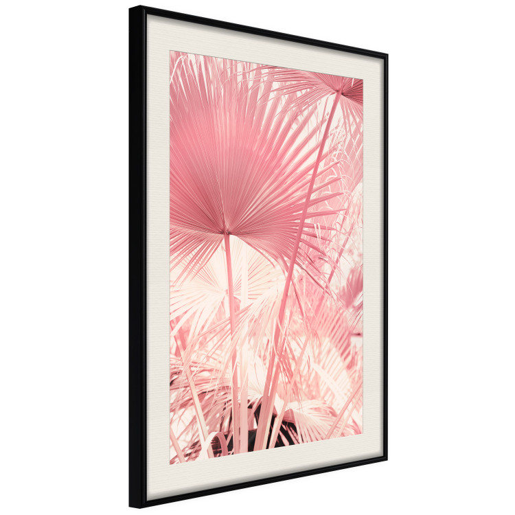 Wall Poster Pink Palm Trees - Leaves in Pastel Colors on a Sunny Day 144126 additionalImage 8