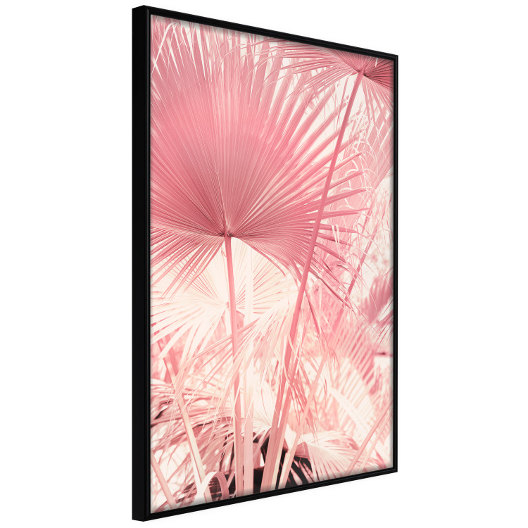 Wall Poster Pink Palm Trees - Leaves in Pastel Colors on a Sunny Day 144126 additionalImage 5