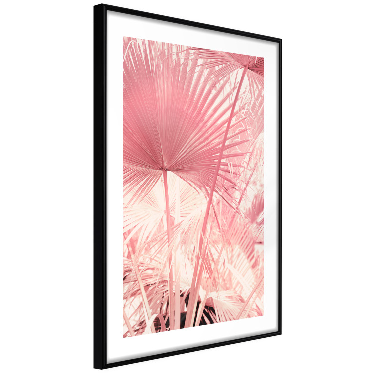 Wall Poster Pink Palm Trees - Leaves in Pastel Colors on a Sunny Day 144126 additionalImage 6