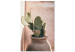 Canvas Cactus in a Pot (1-piece) - landscape with a spiky plant in a pot 145226