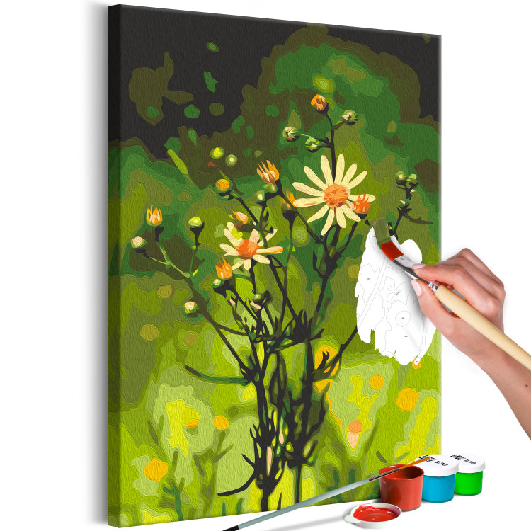 Paint by Number Kit Freshness of Nature - Delicate Summer Flower in a Green Meadow 146726 additionalImage 6