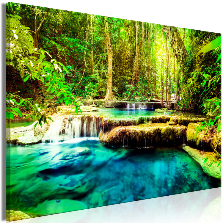 Large canvas print A Jewel of Nature [Large Format] 149026 additionalImage 2