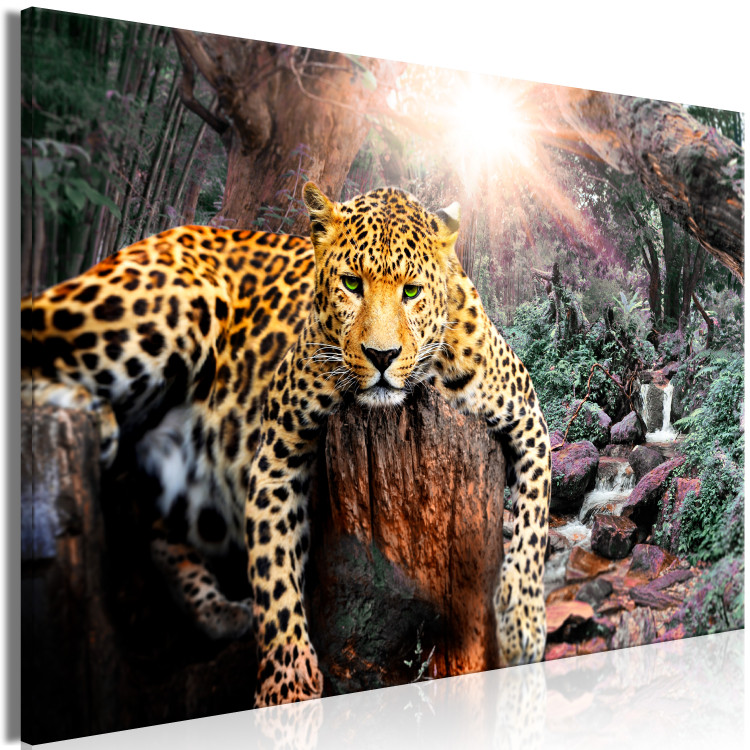Large canvas print Wild Cat's Rest [Large Format] 150726 additionalImage 2