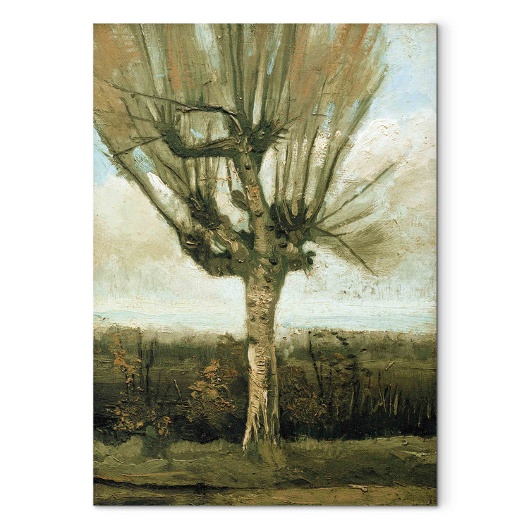 Reproduction Painting Common white willow  159726