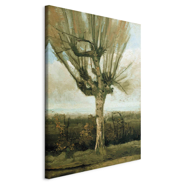 Reproduction Painting Common white willow  159726 additionalImage 2