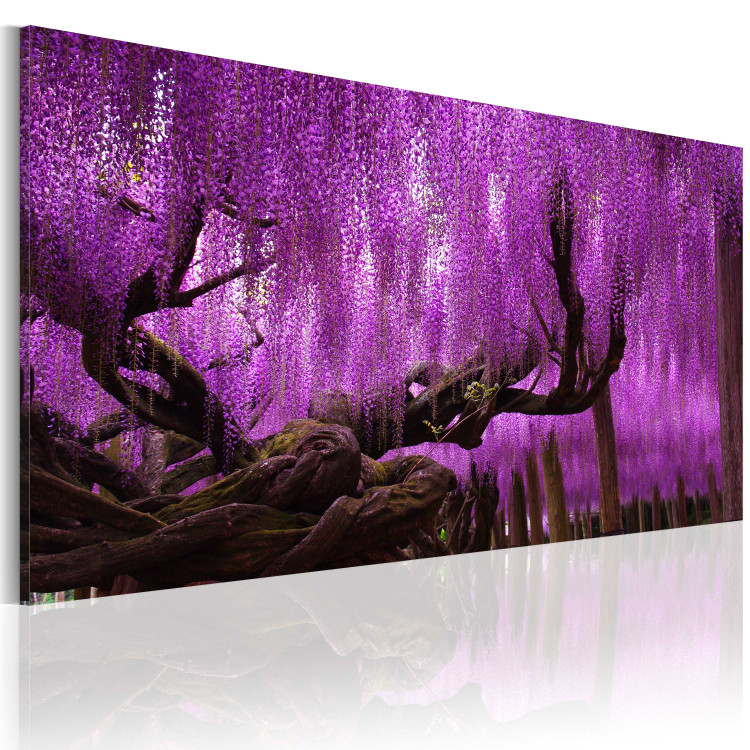 Canvas Wisteria sinensis 50126 additionalImage 2