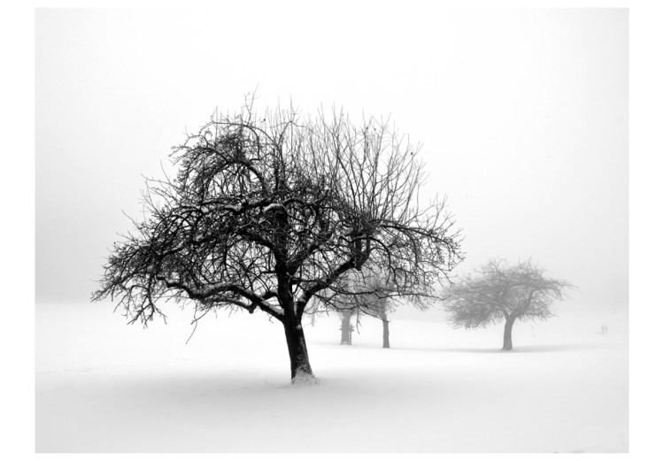 Wall Mural Winter: Trees 60426 additionalImage 1