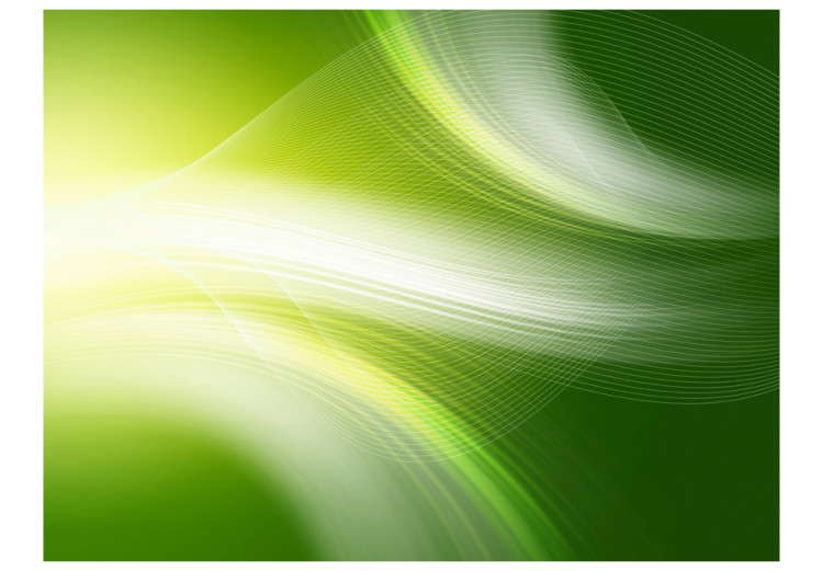 Photo Wallpaper Green abstract background 97626 additionalImage 1