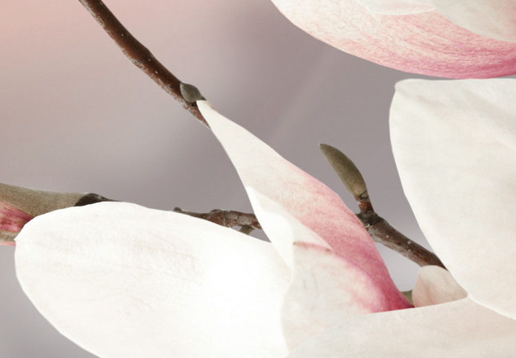 Canvas Magnolia in Bloom (5 Parts) Wide 107236 additionalImage 5