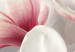 Canvas Magnolia in Bloom (5 Parts) Wide 107236 additionalThumb 4