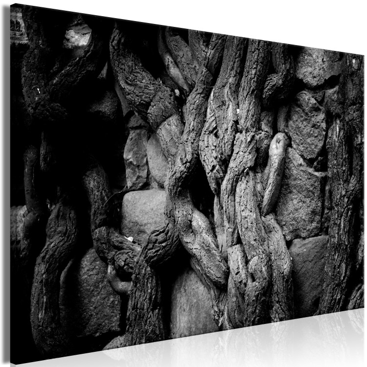 Canvas Old Roots - a black and white photograph of stones and roots 115036 additionalImage 2