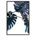 Wall Poster Evergreen - composition with dark tropical leaves on a white background 115136 additionalThumb 18