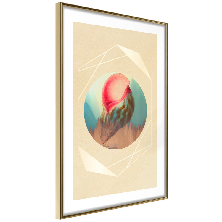 Poster Colorful Shell - colorful snail shell on a geometric beige background 116636 additionalImage 6