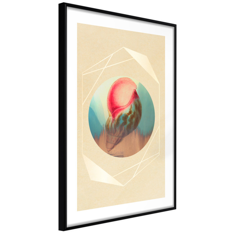 Poster Colorful Shell - colorful snail shell on a geometric beige background 116636 additionalImage 11