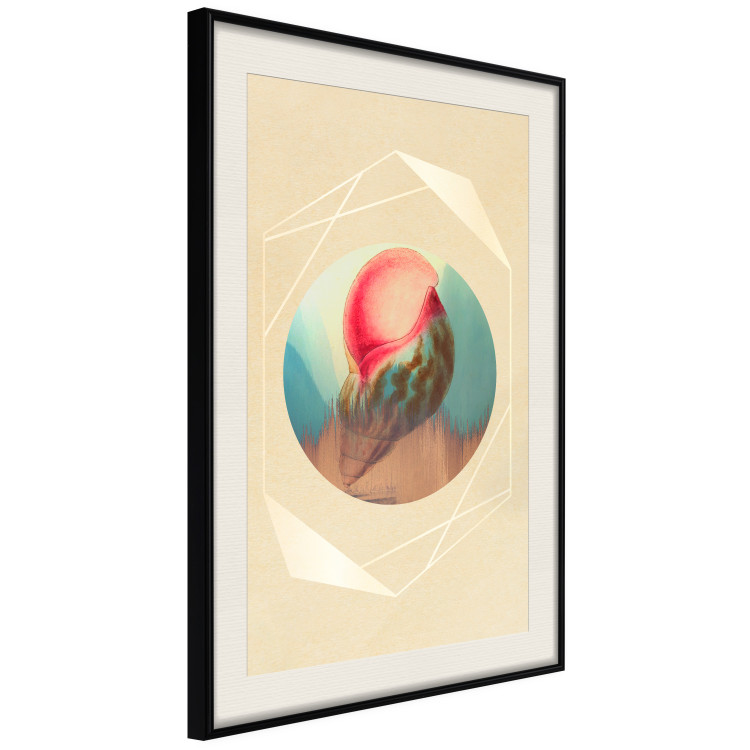 Poster Colorful Shell - colorful snail shell on a geometric beige background 116636 additionalImage 3