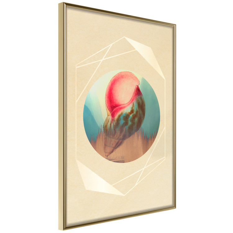 Poster Colorful Shell - colorful snail shell on a geometric beige background 116636 additionalImage 14