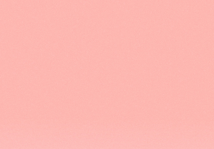 Poster Pastel Spot - minimalist composition with a pink color palette background 119136 additionalImage 8