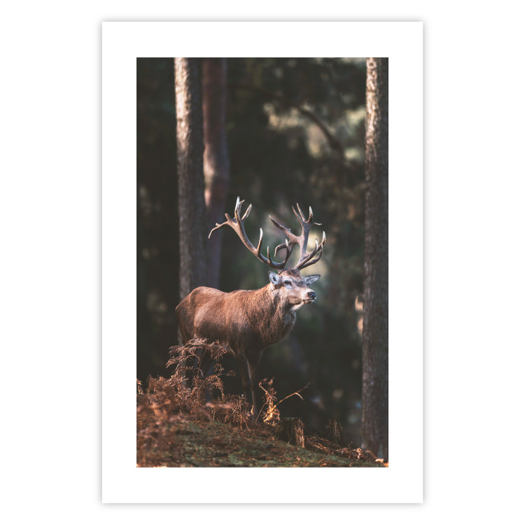 Wall Poster Forest Nobleman - landscape of a forest scene with a deer against trees 126836 additionalImage 25