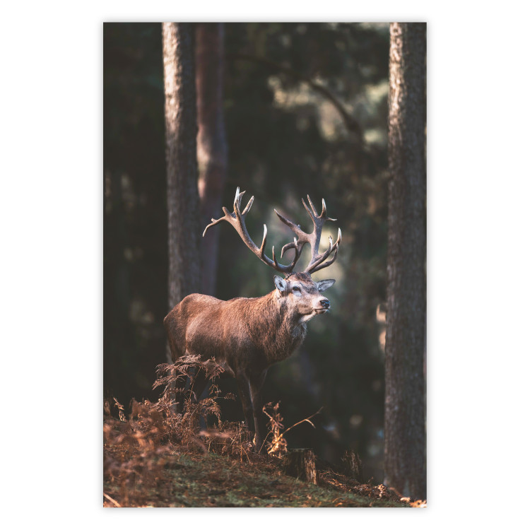 Wall Poster Forest Nobleman - landscape of a forest scene with a deer against trees 126836