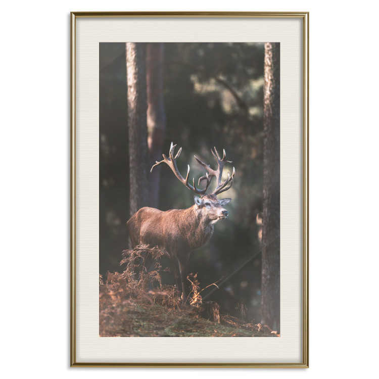 Wall Poster Forest Nobleman - landscape of a forest scene with a deer against trees 126836 additionalImage 20