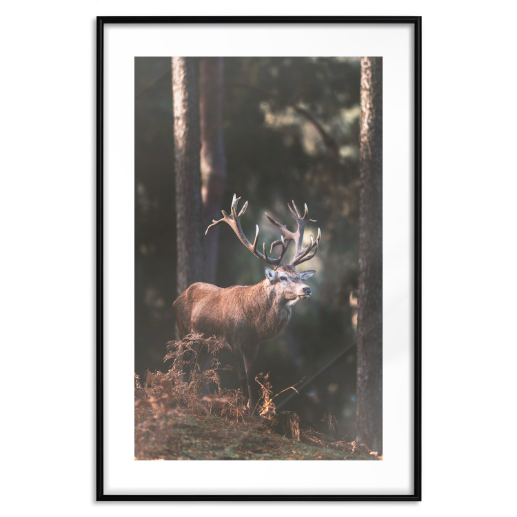 Wall Poster Forest Nobleman - landscape of a forest scene with a deer against trees 126836 additionalImage 17