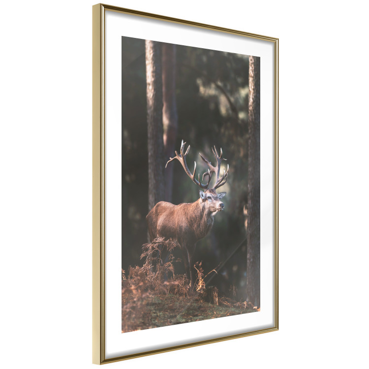 Wall Poster Forest Nobleman - landscape of a forest scene with a deer against trees 126836 additionalImage 10