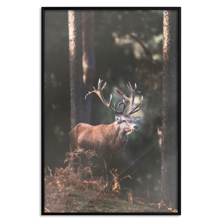 Wall Poster Forest Nobleman - landscape of a forest scene with a deer against trees 126836 additionalImage 18