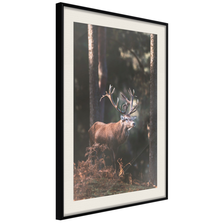 Wall Poster Forest Nobleman - landscape of a forest scene with a deer against trees 126836 additionalImage 4