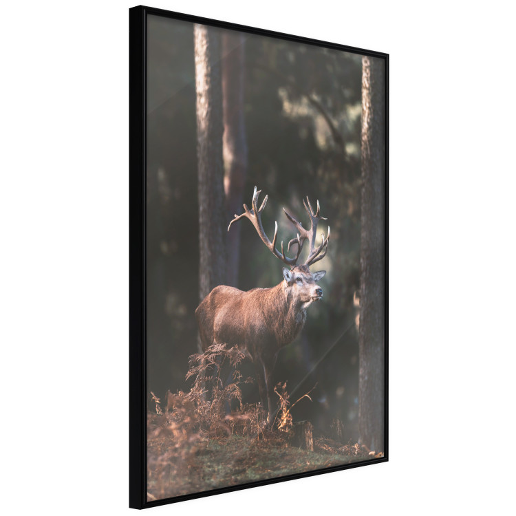 Wall Poster Forest Nobleman - landscape of a forest scene with a deer against trees 126836 additionalImage 13