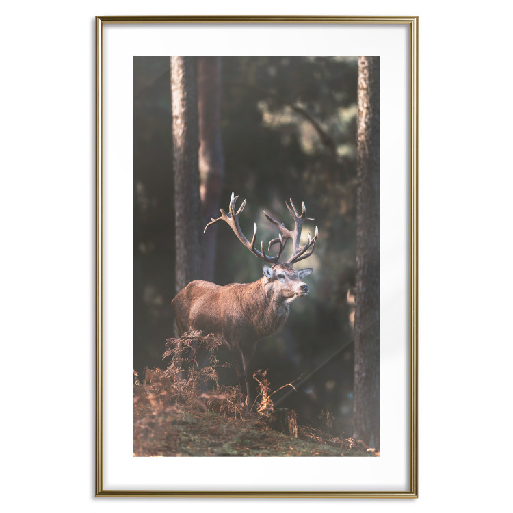 Wall Poster Forest Nobleman - landscape of a forest scene with a deer against trees 126836 additionalImage 16