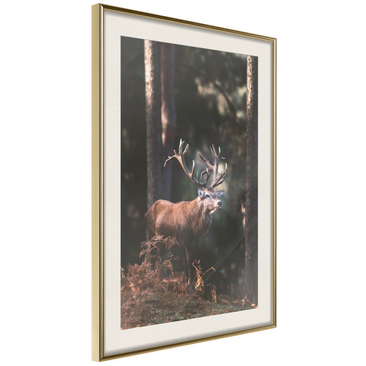 Wall Poster Forest Nobleman - landscape of a forest scene with a deer against trees 126836 additionalImage 6