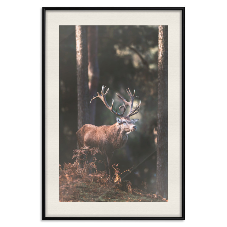 Wall Poster Forest Nobleman - landscape of a forest scene with a deer against trees 126836 additionalImage 19