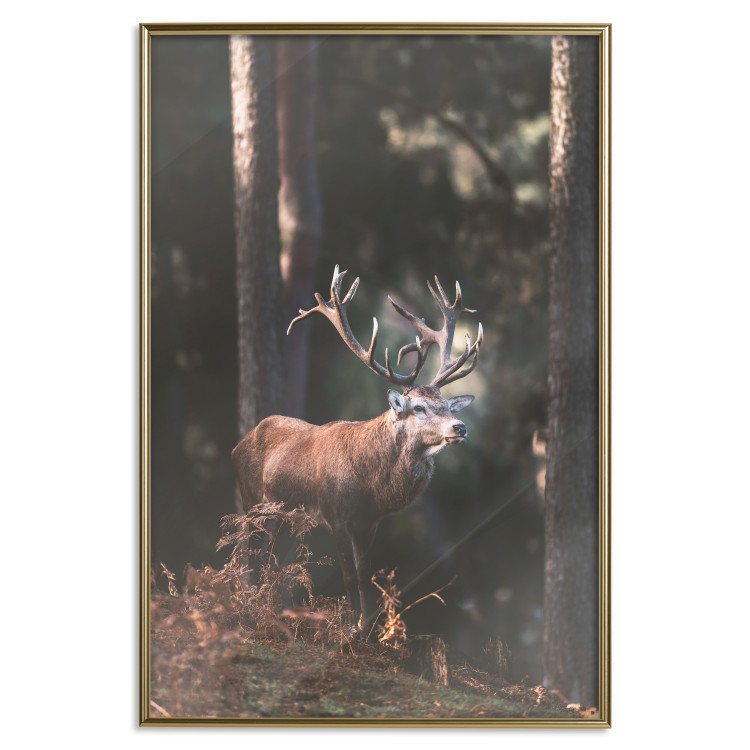 Wall Poster Forest Nobleman - landscape of a forest scene with a deer against trees 126836 additionalImage 21