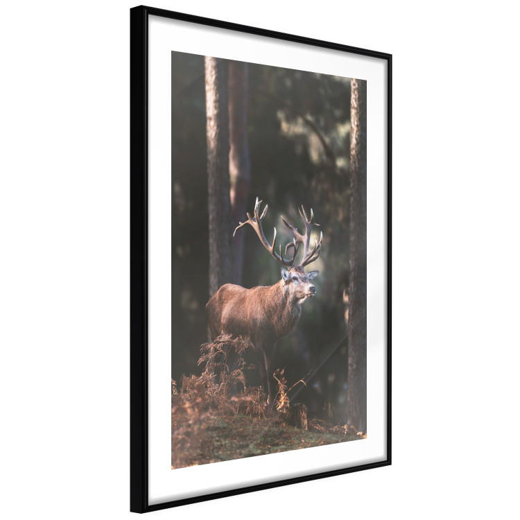 Wall Poster Forest Nobleman - landscape of a forest scene with a deer against trees 126836 additionalImage 14