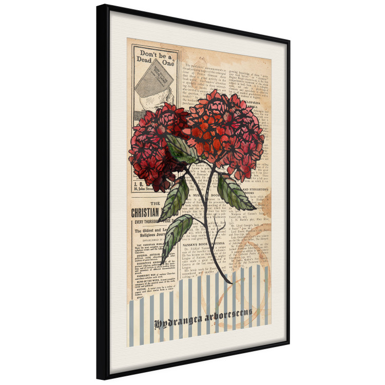 Poster Morning Flowers - vintage composition with blooming plant against text 129436 additionalImage 2
