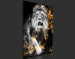 Canvas King in Gold (1-part) vertical - fantastical lion on a dark background 129536 additionalThumb 4