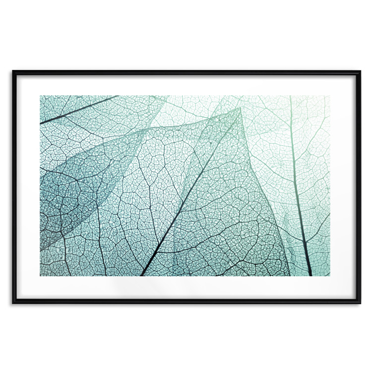 Poster Macro Flora - abstract translucent turquoise leaf 129836 additionalImage 15