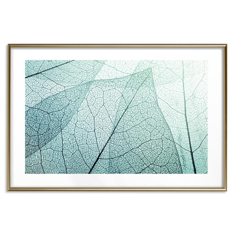 Poster Macro Flora - abstract translucent turquoise leaf 129836 additionalImage 14