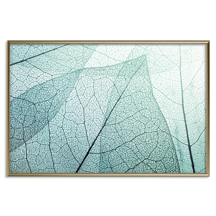 Poster Macro Flora - abstract translucent turquoise leaf 129836 additionalImage 17
