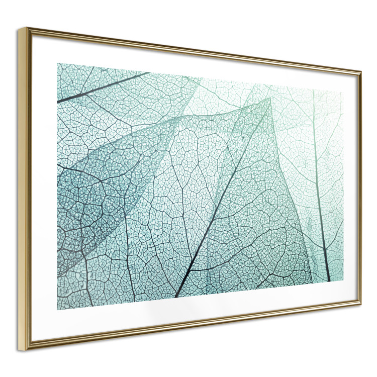 Poster Macro Flora - abstract translucent turquoise leaf 129836 additionalImage 7