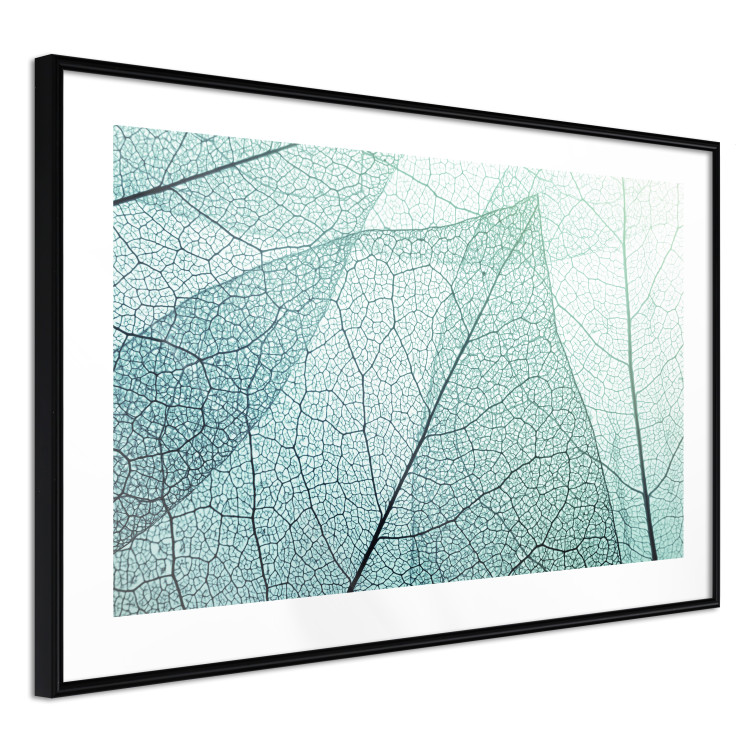 Poster Macro Flora - abstract translucent turquoise leaf 129836 additionalImage 6