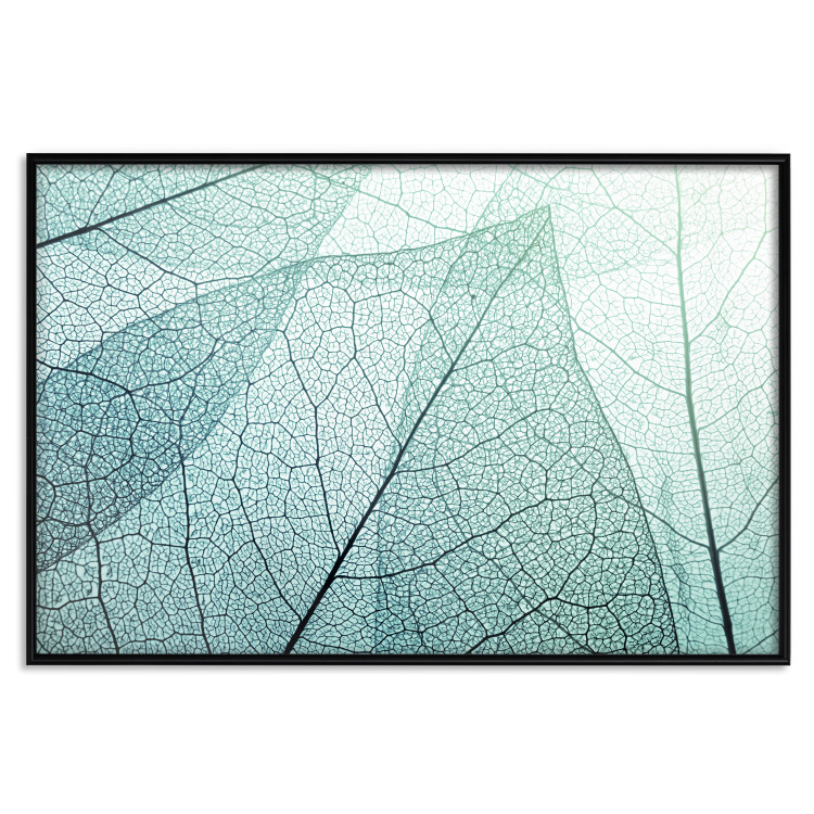 Poster Macro Flora - abstract translucent turquoise leaf 129836 additionalImage 16