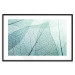 Poster Macro Flora - abstract translucent turquoise leaf 129836 additionalThumb 15
