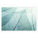 Poster Macro Flora - abstract translucent turquoise leaf 129836