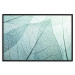 Poster Macro Flora - abstract translucent turquoise leaf 129836 additionalThumb 16