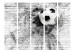 Folding Screen Football Dynamics II (5-piece) - black and white sports composition 132536 additionalThumb 3